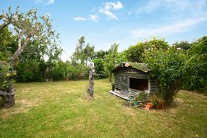 Photo 7- click for photo gallery